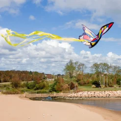 Beautiful Butterfly Kite><noscript><img width=