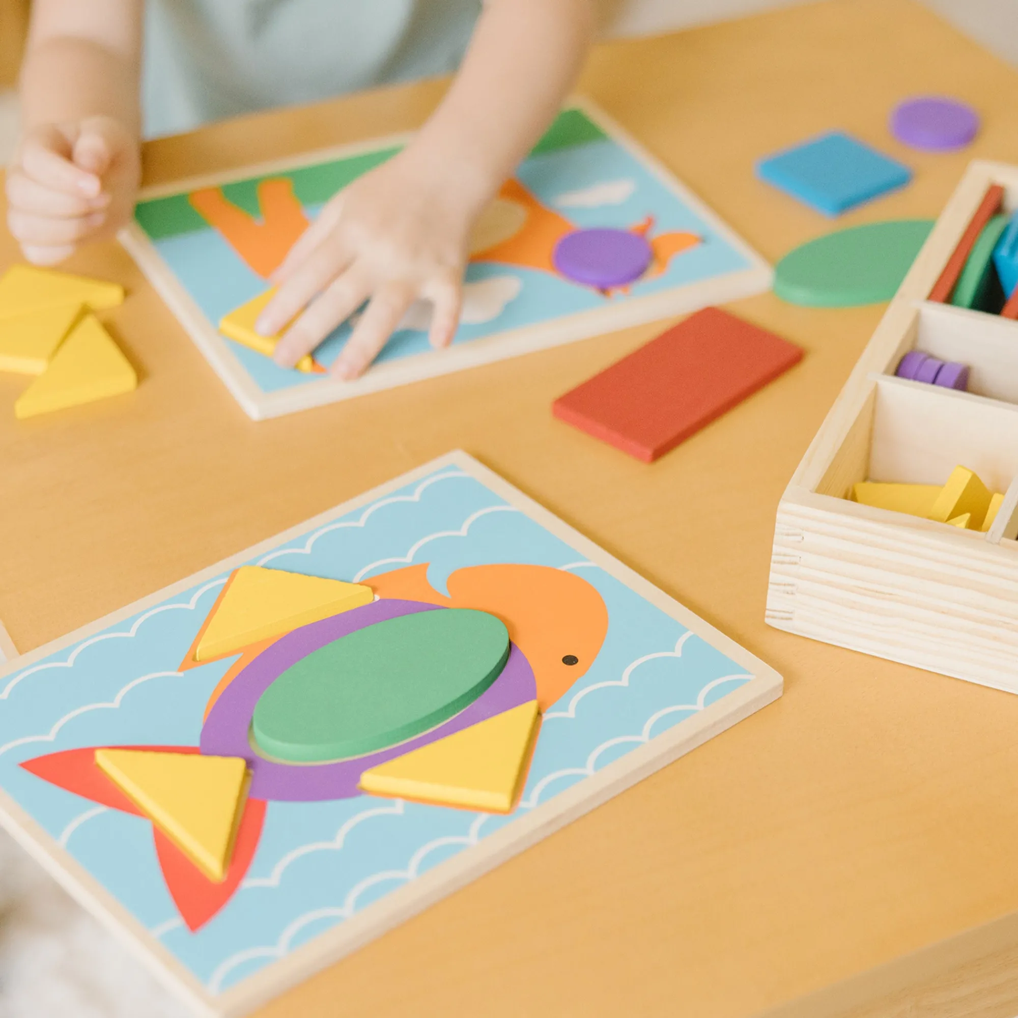 Beginner Pattern Blocks>Melissa & Doug Online