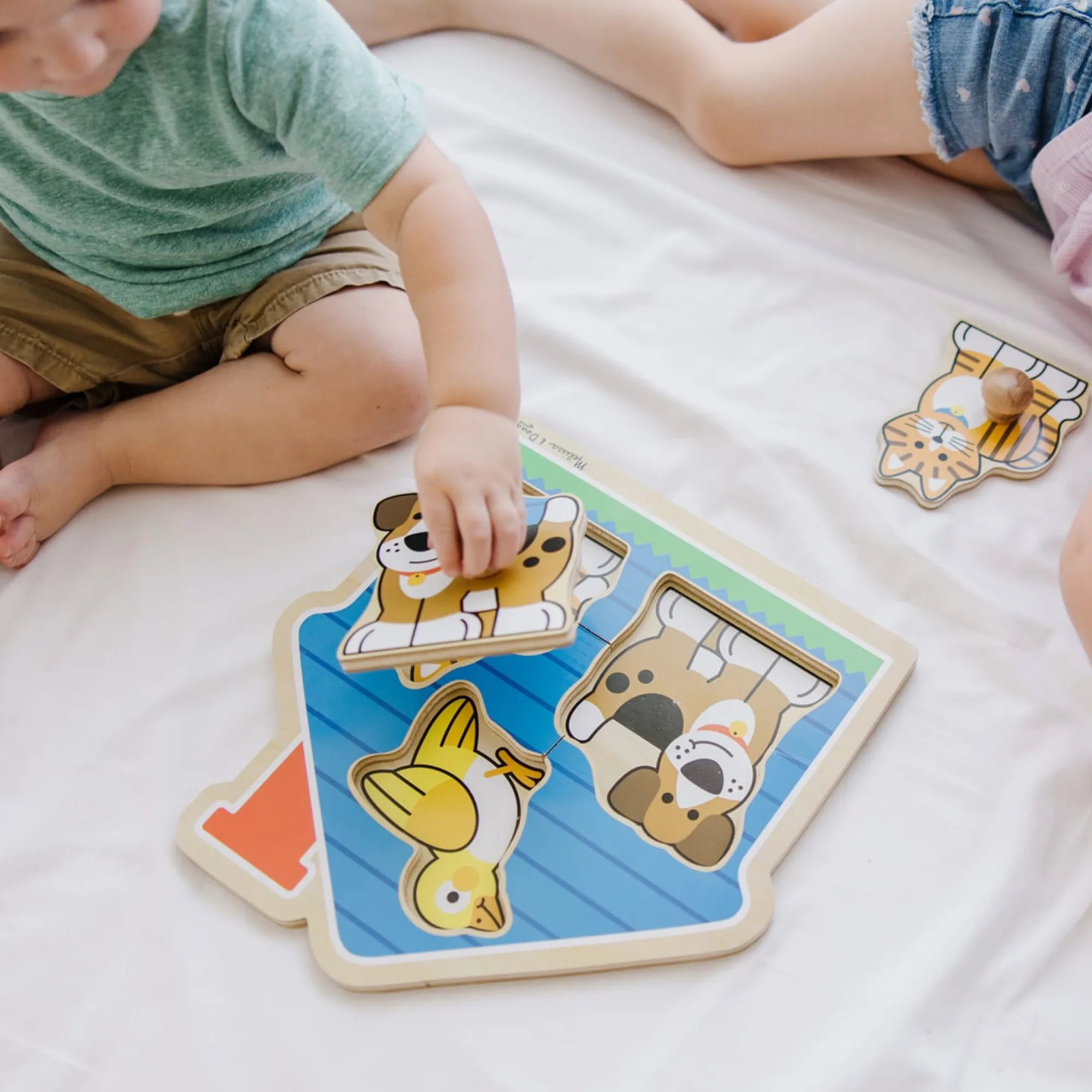House Pets Jumbo Knob Puzzle - 3 Pieces>Melissa & Doug Sale