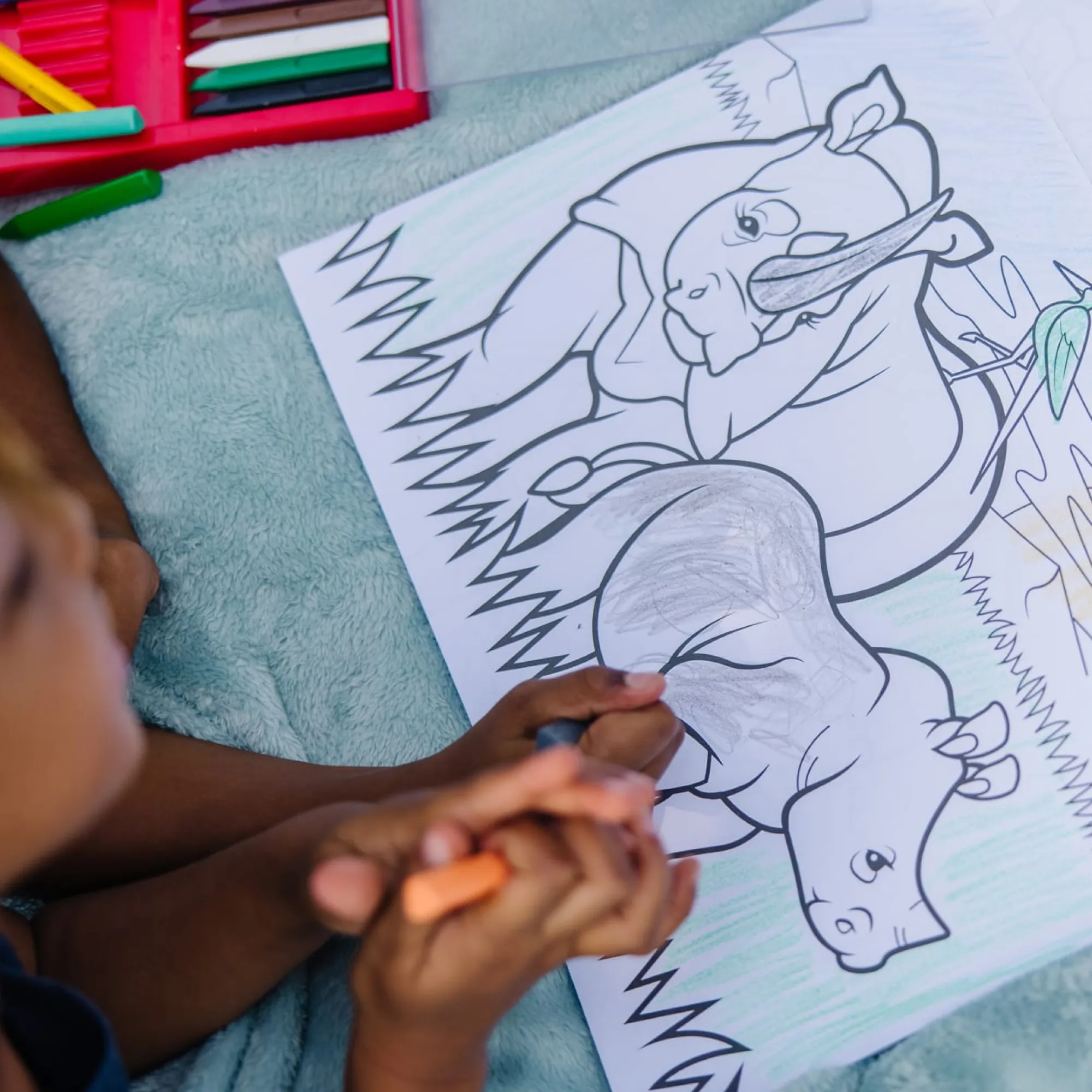 Jumbo Coloring Pad - Animals>Melissa & Doug