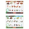 Let's Explore Double-Sided Seek & Find Puzzle>Melissa & Doug New