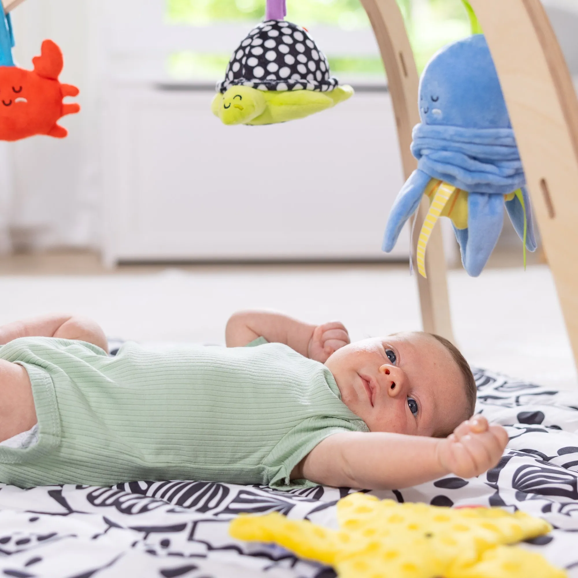 Ocean Easy-Fold Play Gym>Melissa & Doug Hot