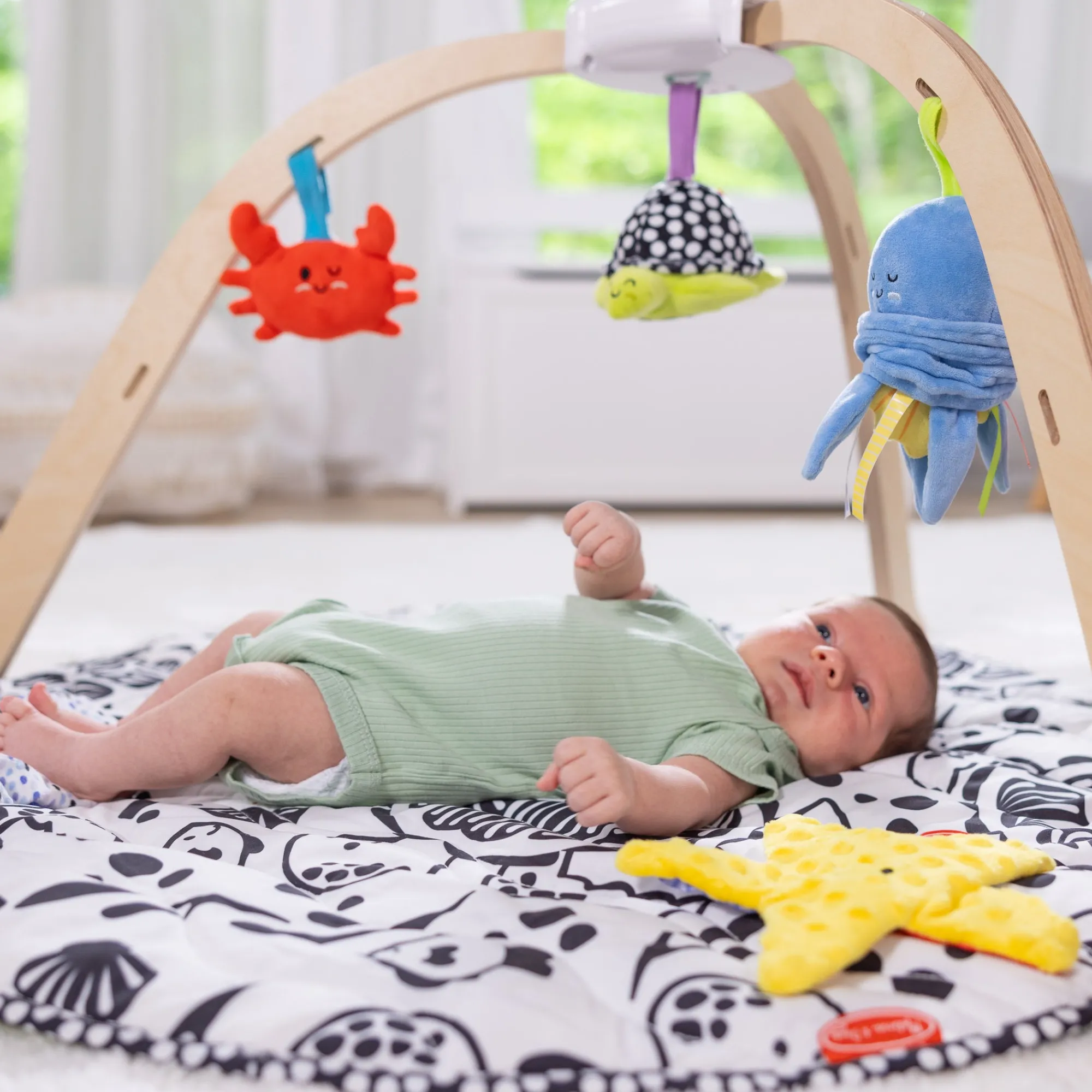 Ocean Easy-Fold Play Gym>Melissa & Doug Hot
