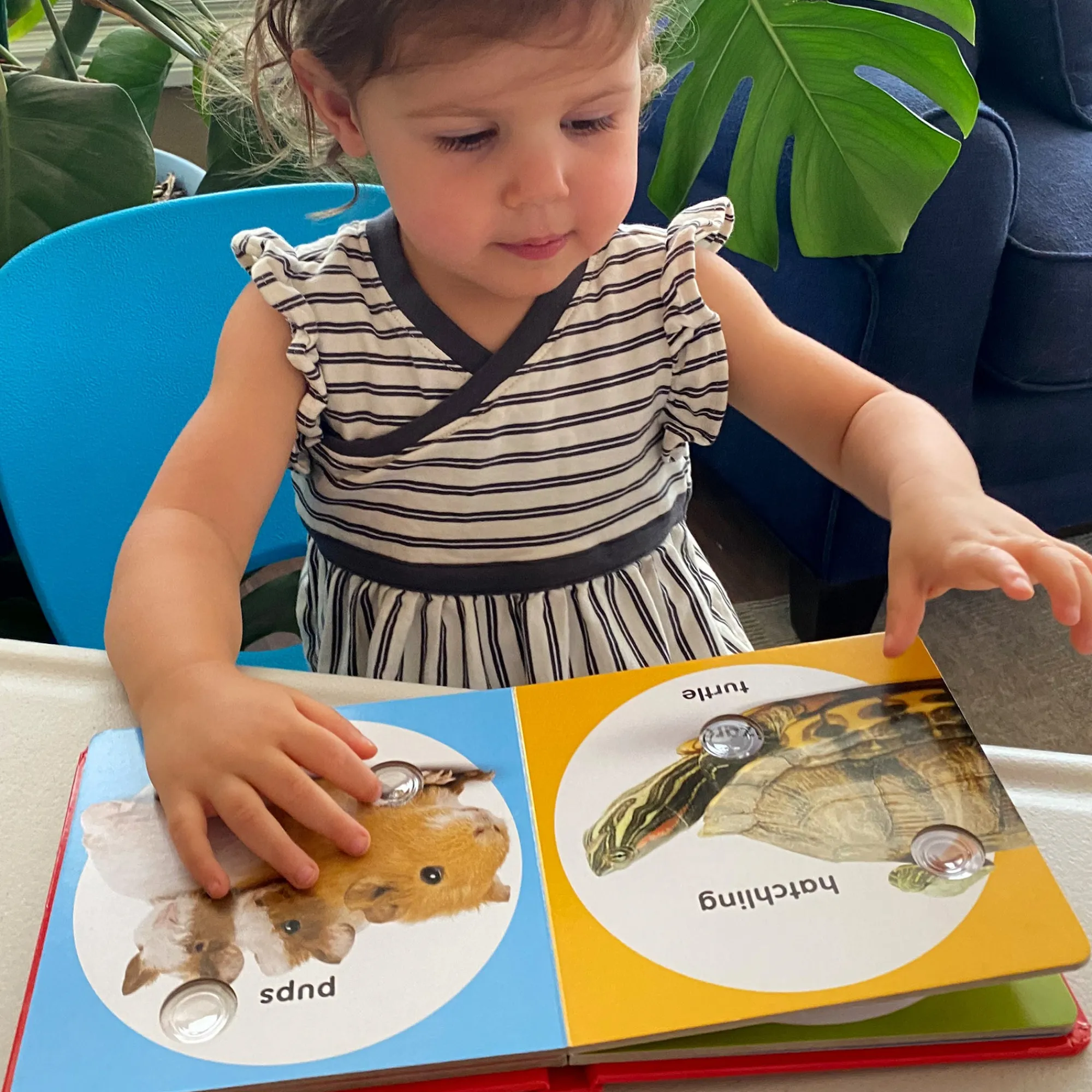 Poke-a-Dot: Pet Families Board Book>Melissa & Doug Clearance