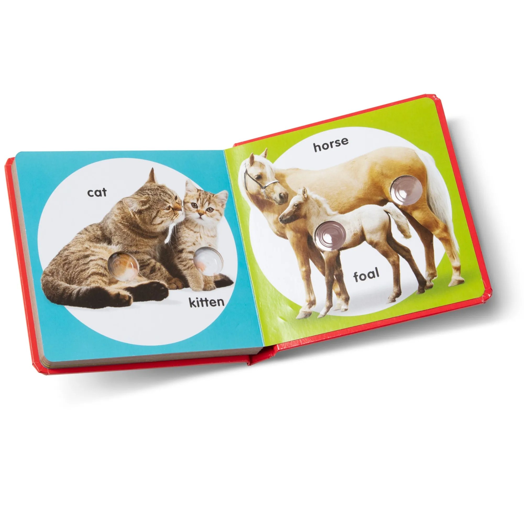 Poke-a-Dot: Pet Families Board Book>Melissa & Doug Clearance