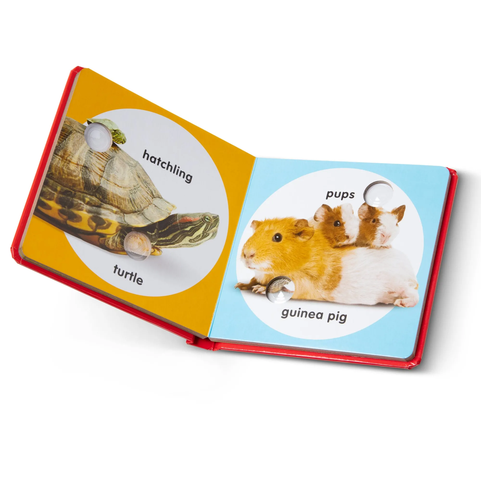Poke-a-Dot: Pet Families Board Book>Melissa & Doug Clearance