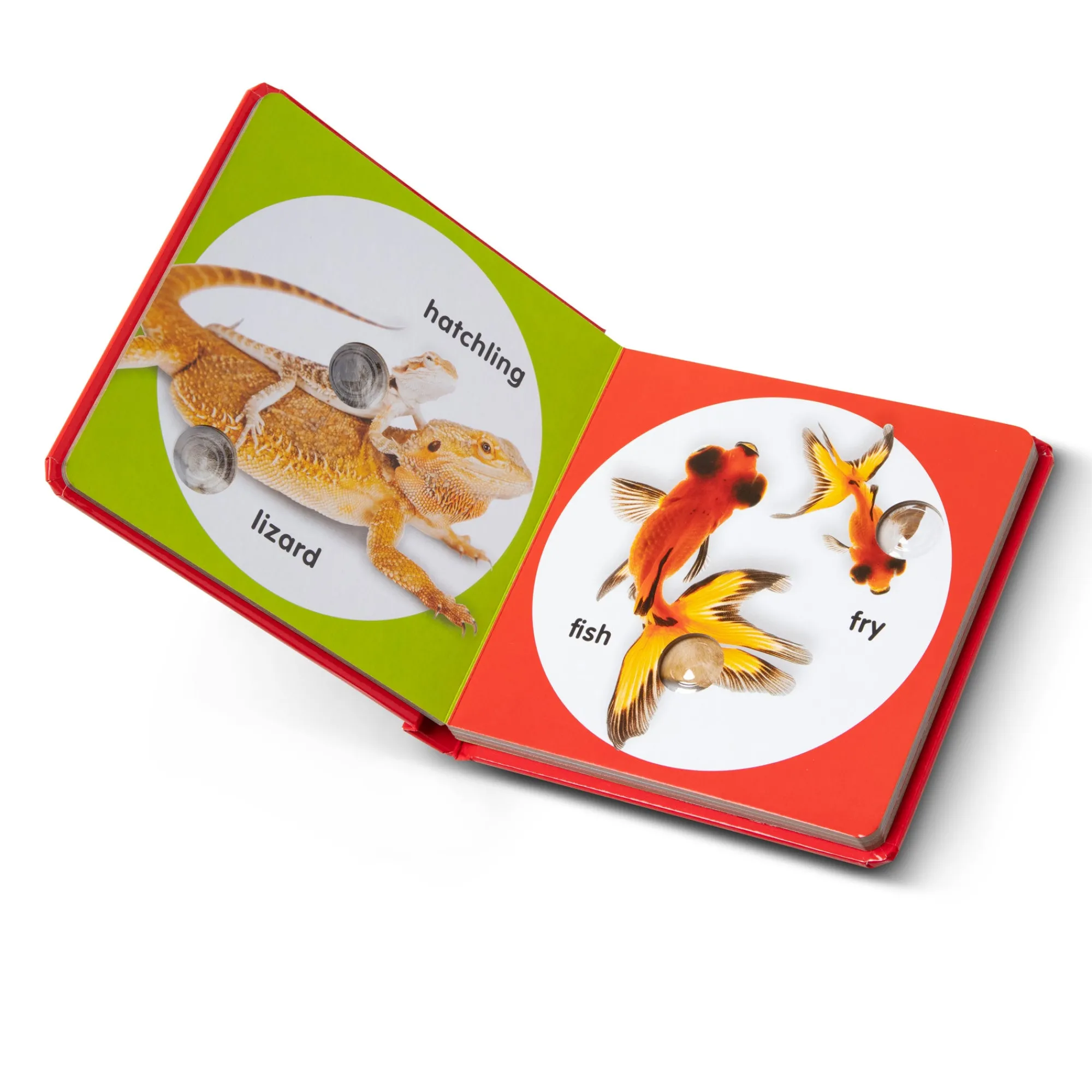 Poke-a-Dot: Pet Families Board Book>Melissa & Doug Clearance