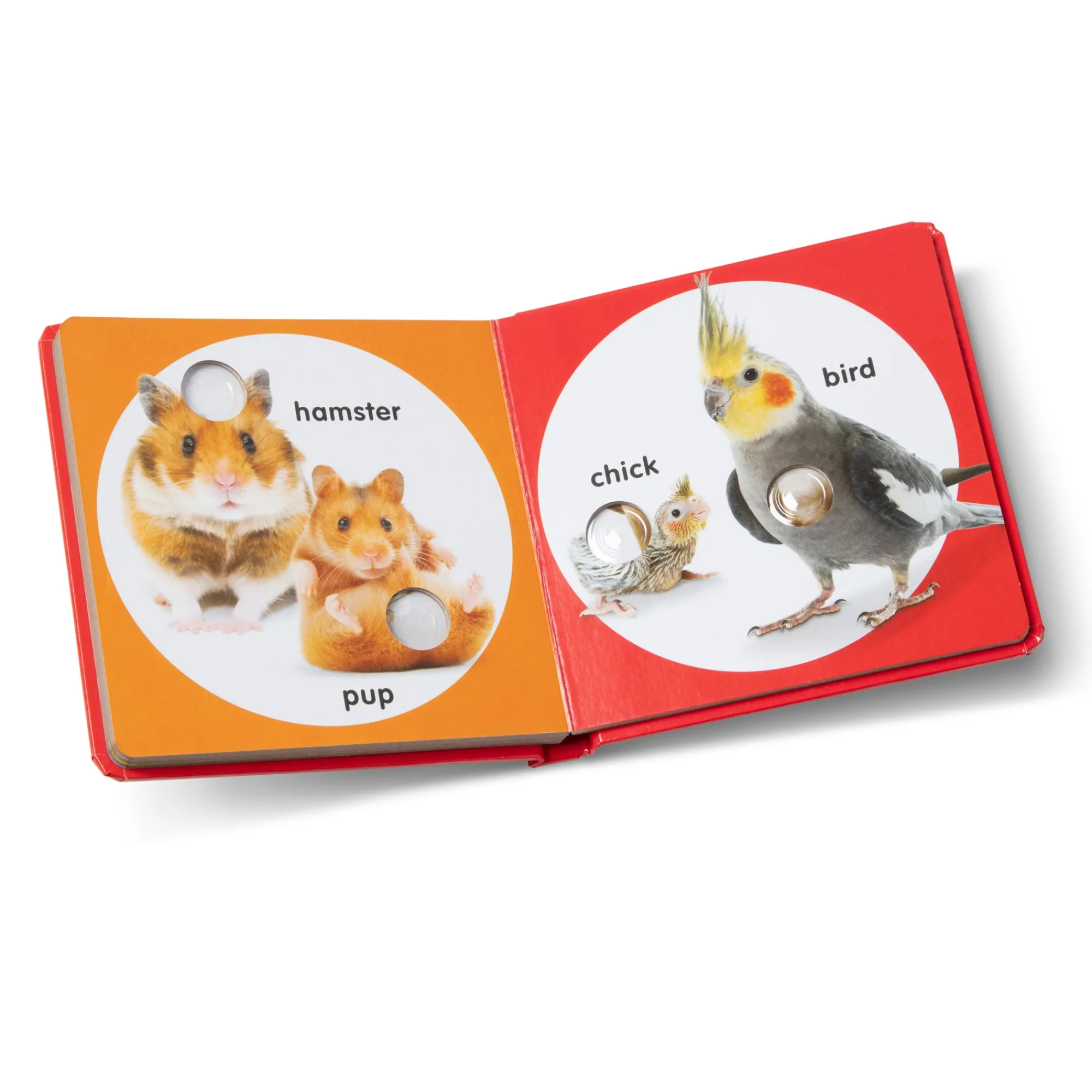 Poke-a-Dot: Pet Families Board Book>Melissa & Doug Clearance