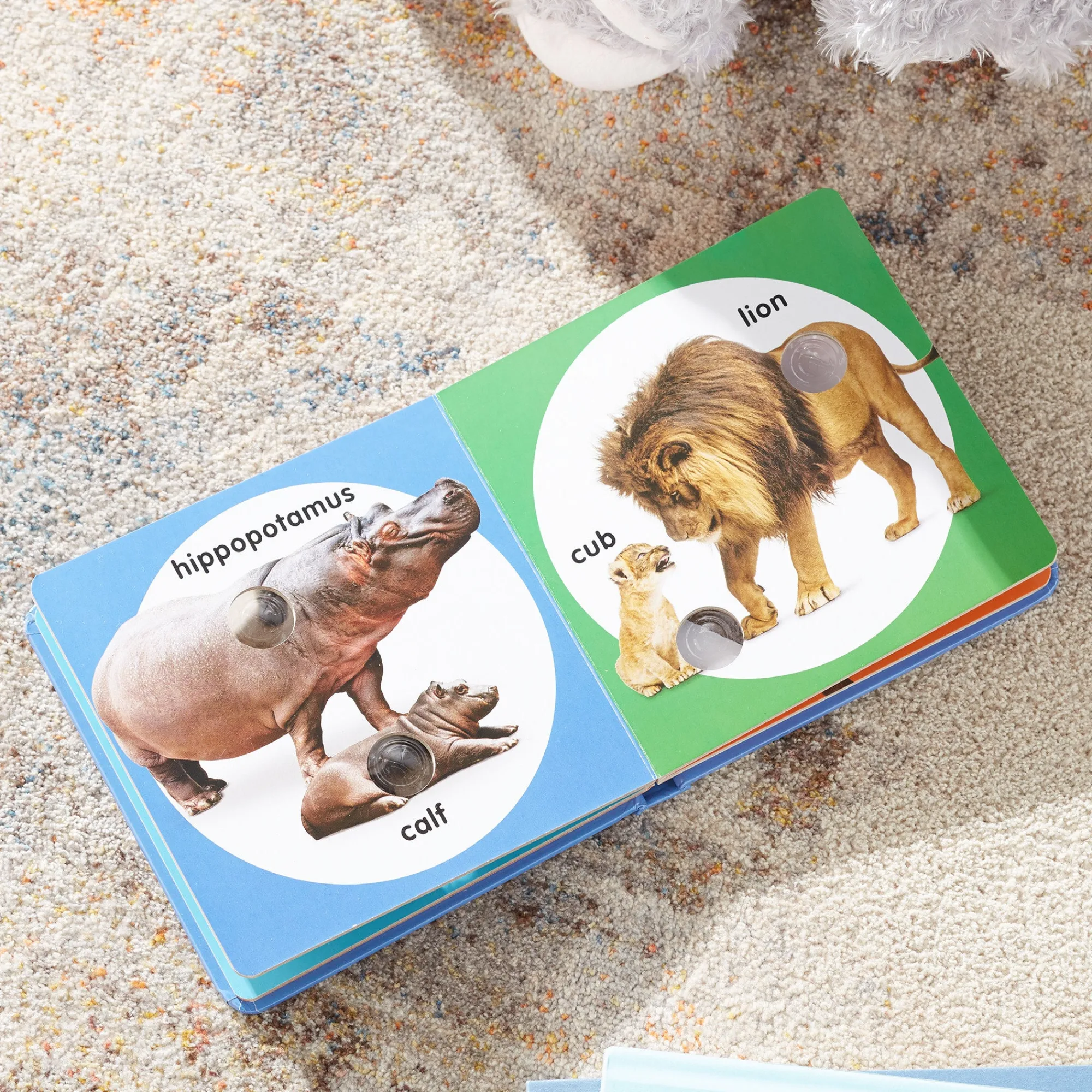 Poke-a-Dot: Wild Animal Families Board Book>Melissa & Doug Outlet