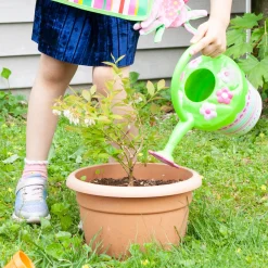 Pretty Petals Watering Can><noscript><img width=