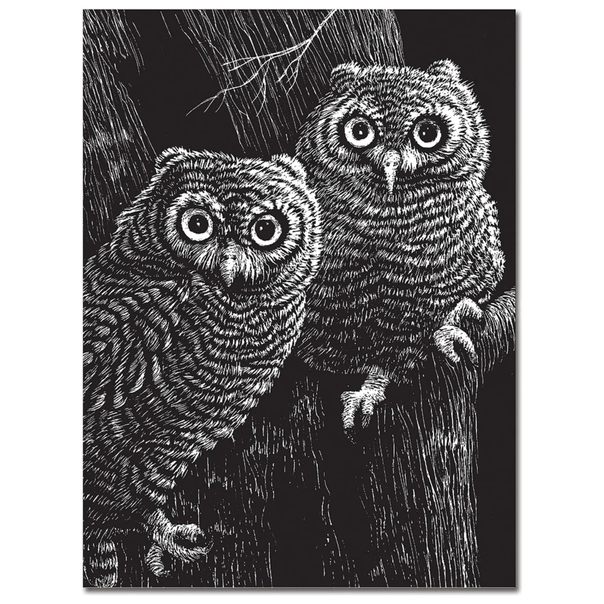 Scratch Art Black Coated 12 pt. Scratchboards (12 boards)>Melissa & Doug Online