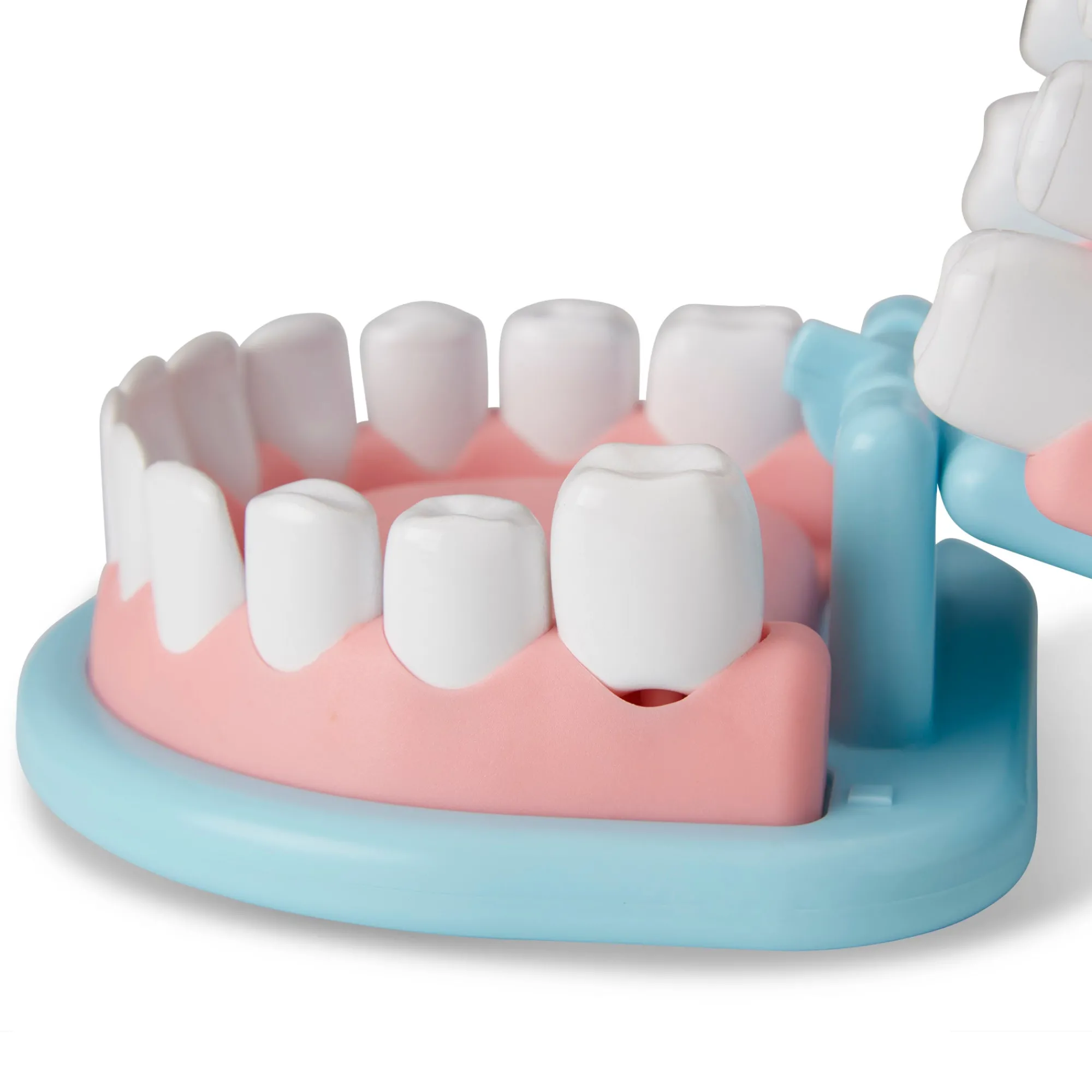 Super Smile Dentist Play Set>Melissa & Doug Hot