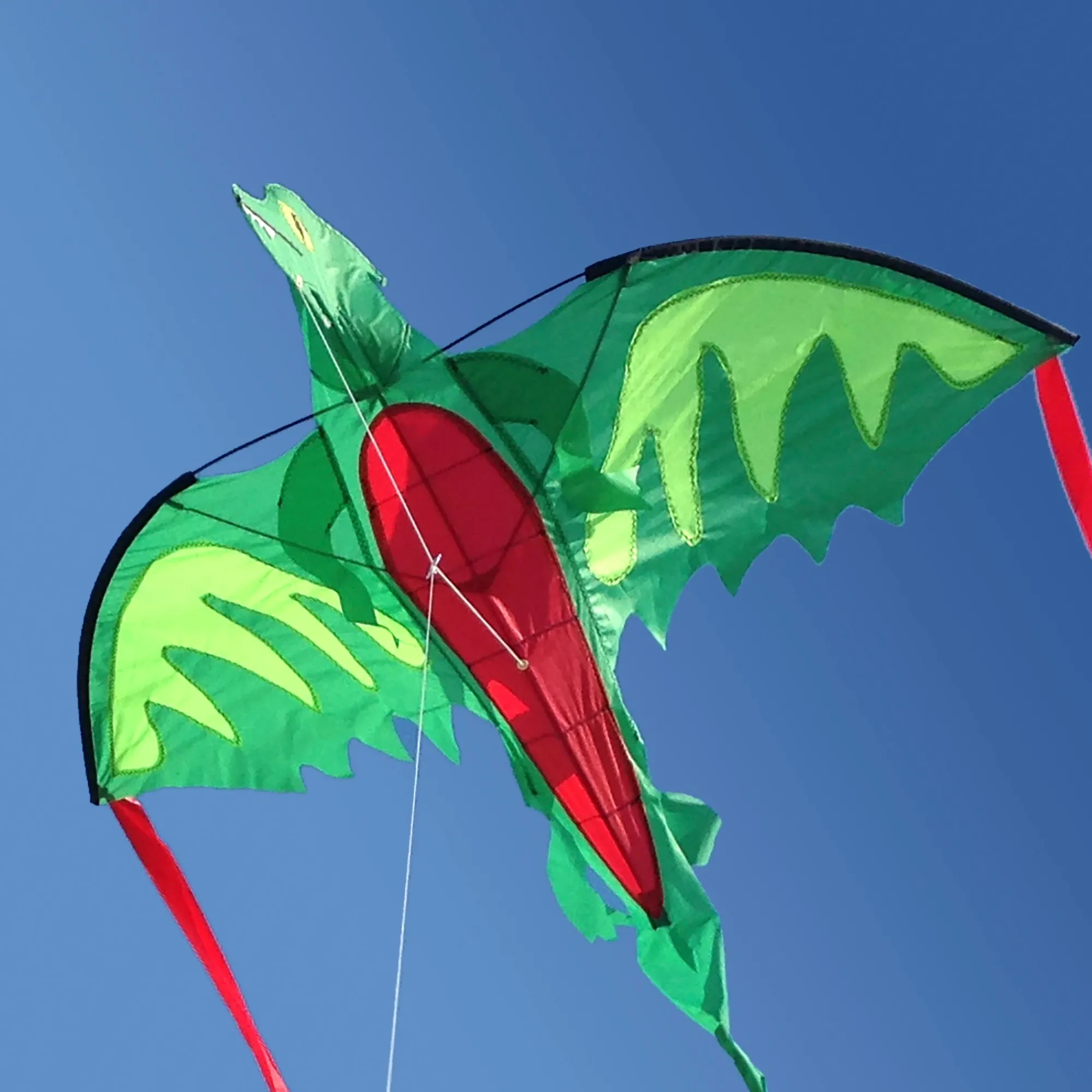 Winged Dragon Shaped Kite>Melissa & Doug